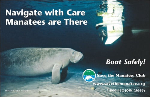 Ed Boat Safely Poster 500