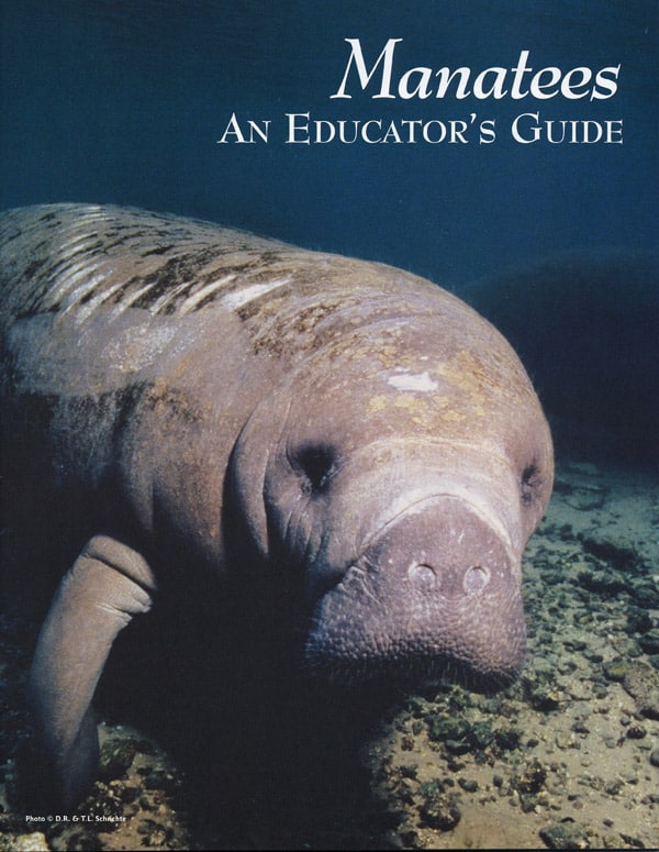 The cover of "Manatees: An Educator's Guide"