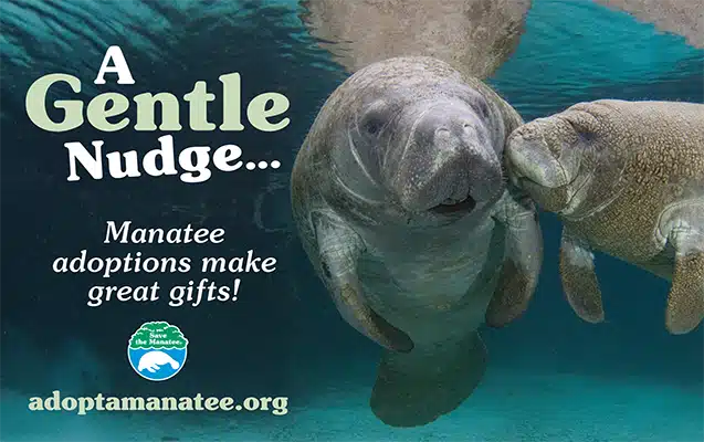 A PSA featuring a manatee nudging another manatee with the text, "A Gentle Nudge. Manatee adoptions make great gifts!"