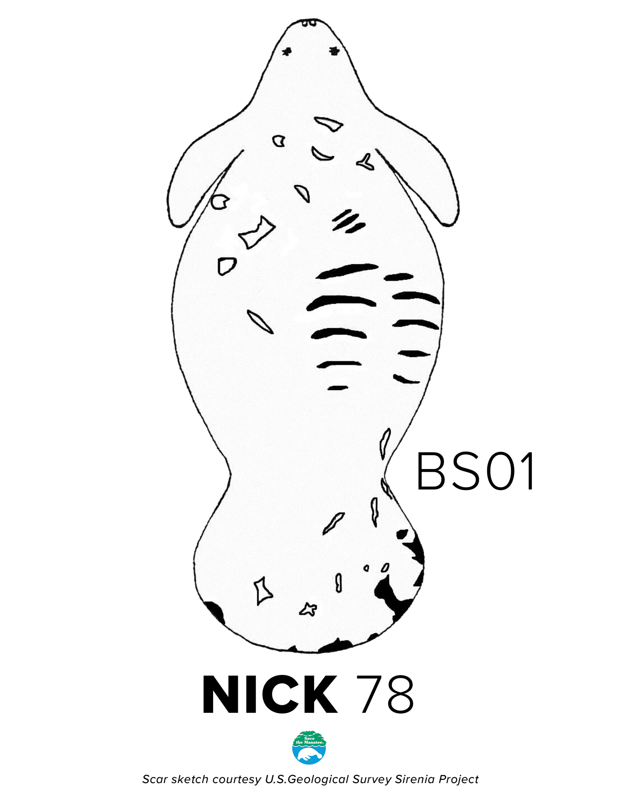 BS01 Nick Scar