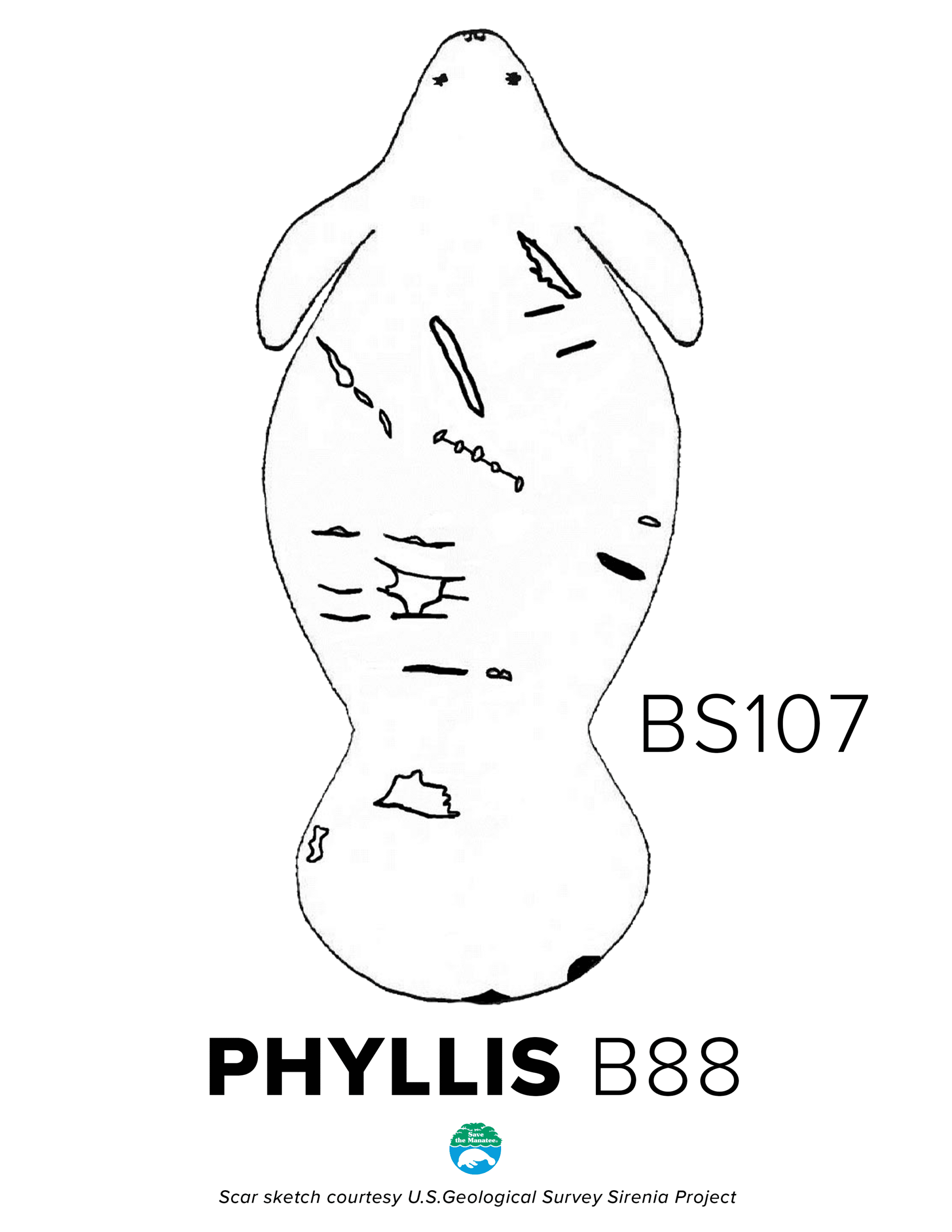 BS107 Phyllis Scar