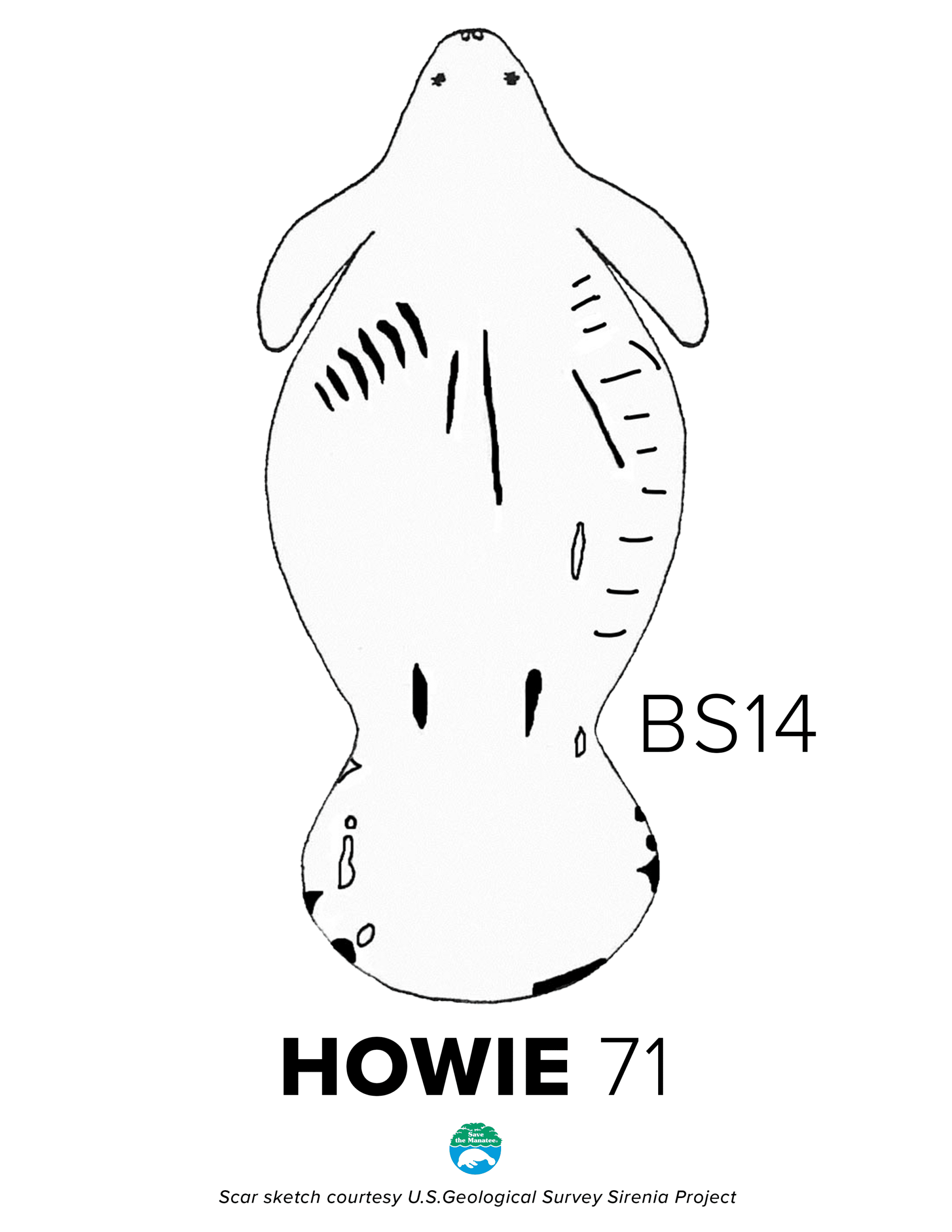 BS14 Howie Scar