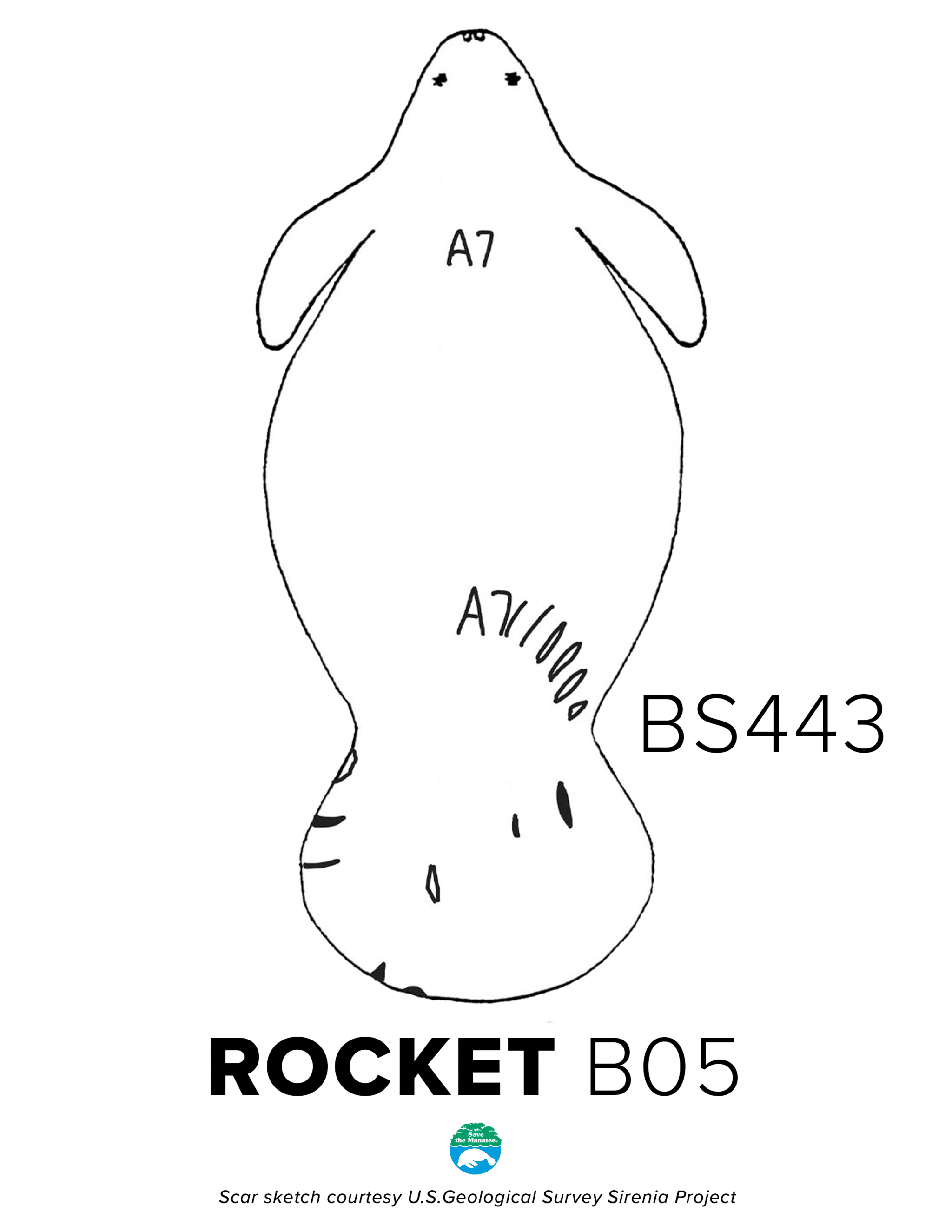 BS443 Rocket Scar