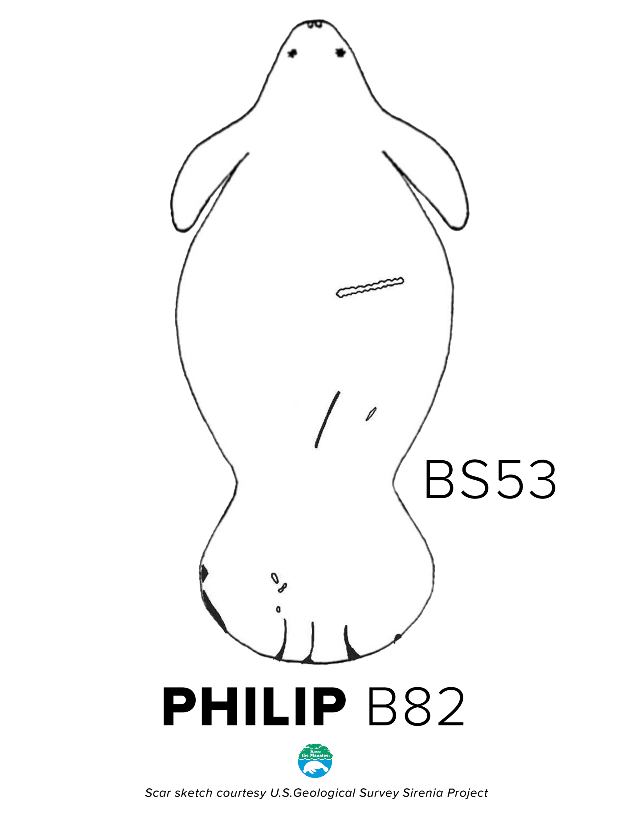 BS53 Philip Scar
