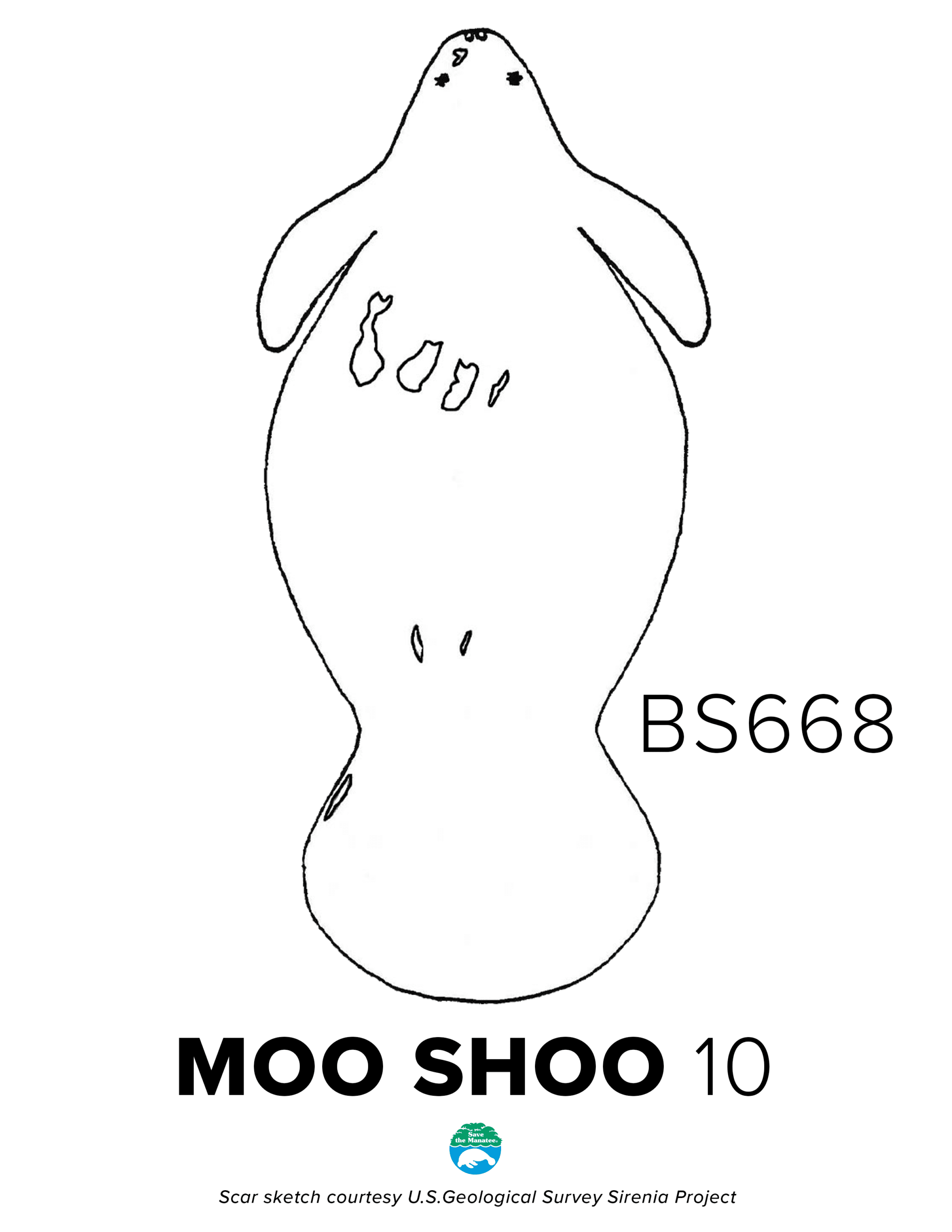 BS669 MooShoo Scar