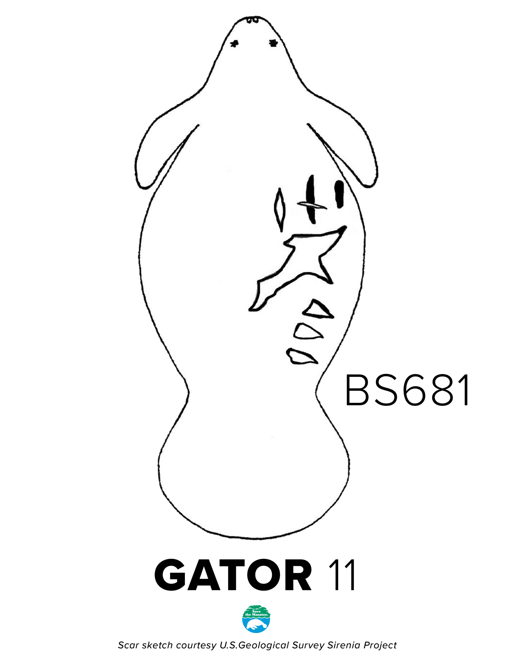 BS681 Gator Scar