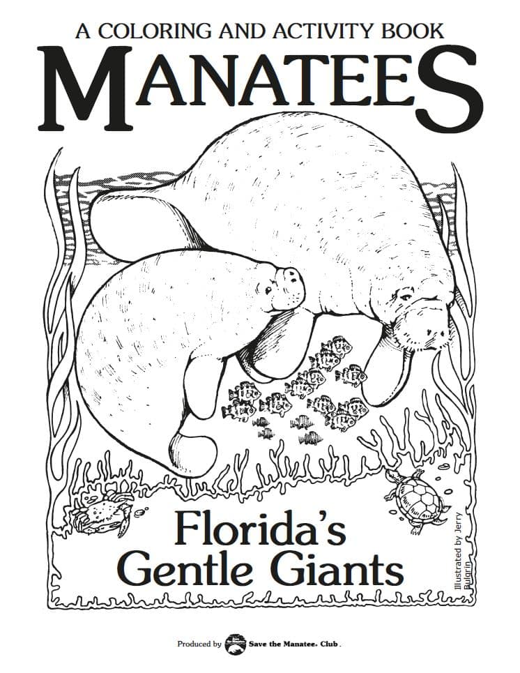 Manatees: A Coloring And Activity Book