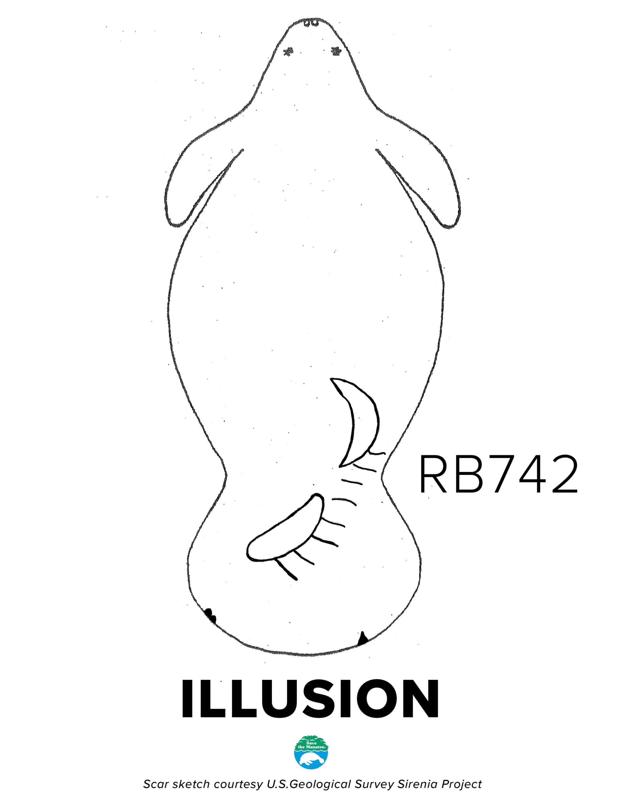 RB742 Illusion Scar
