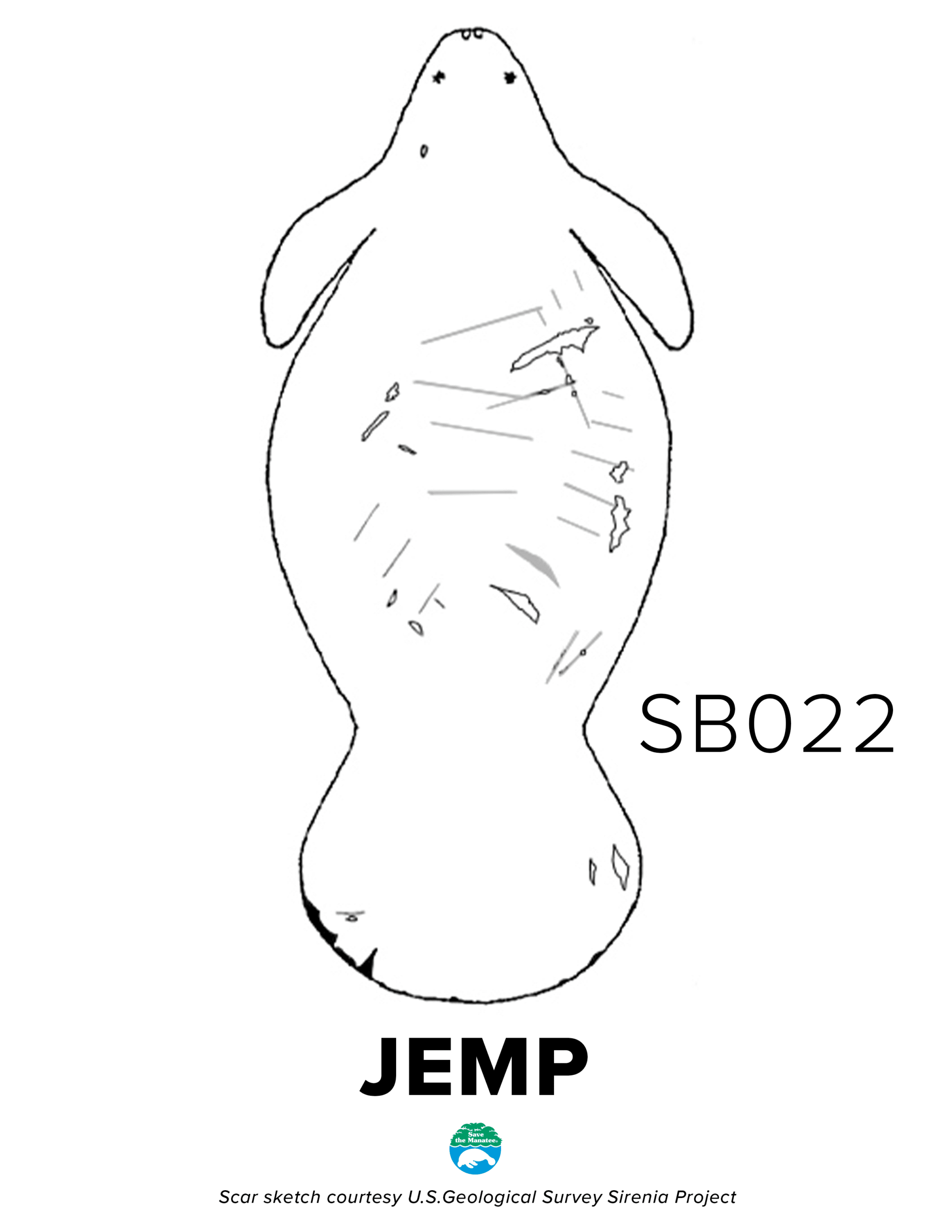 SB22 Jemp Scar