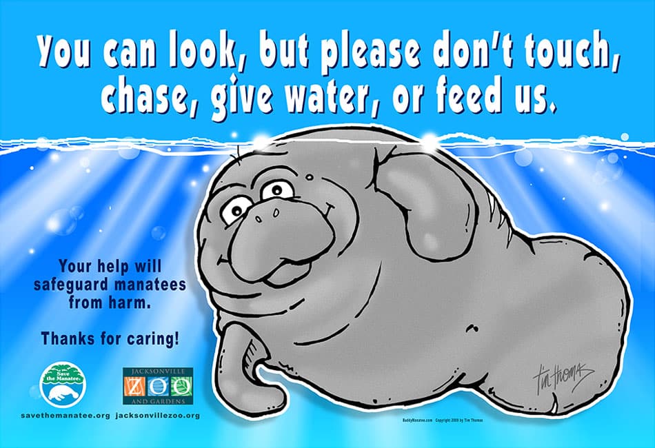 Free Public Awareness Materials  by contacting the Save The Manatee Club Buddy-sign