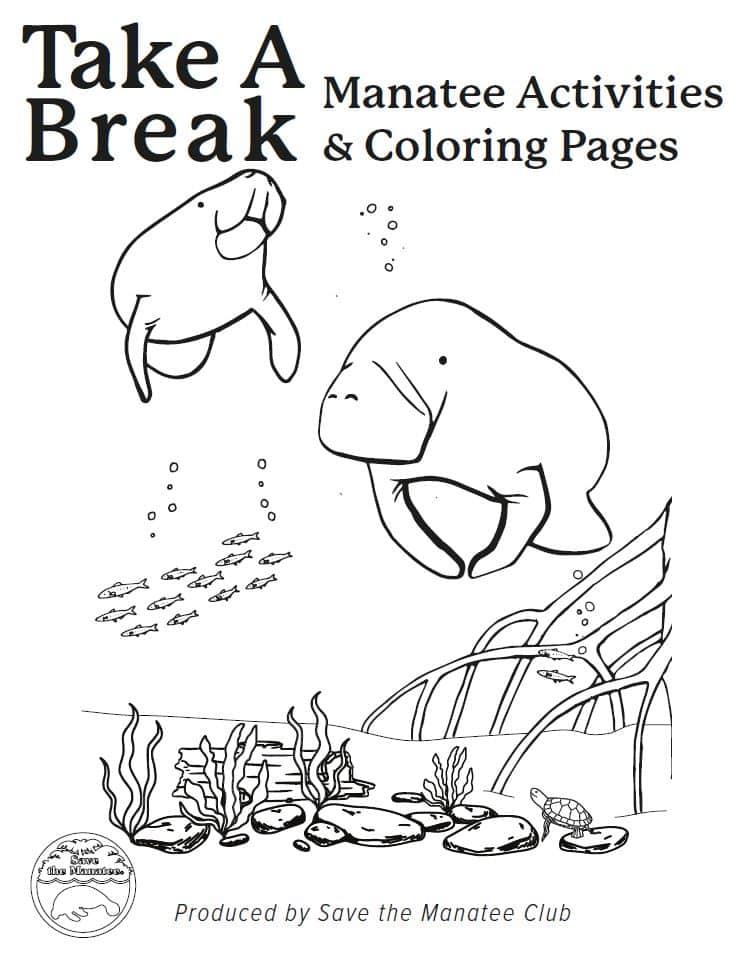 Take A Break: Coloring and Activity Book