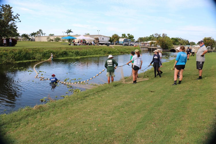 Rescue volunteers and officials pull a giant net across a canal and drag it down the canal to corral entrapped manatees.