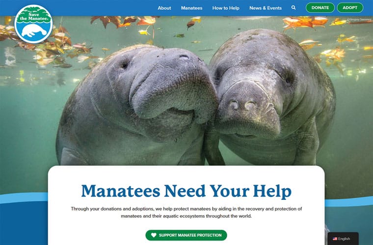 An image of the new homepage at savethemanatee.org.