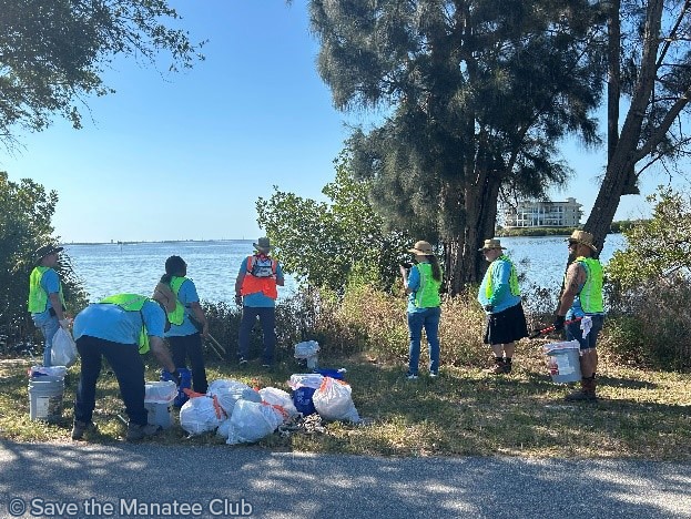 essay on world cleanup day