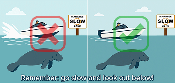 Manatee Zones—More Than Just Signs