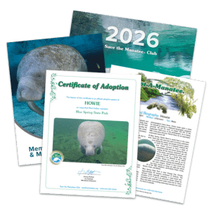 Support Manatee Protection