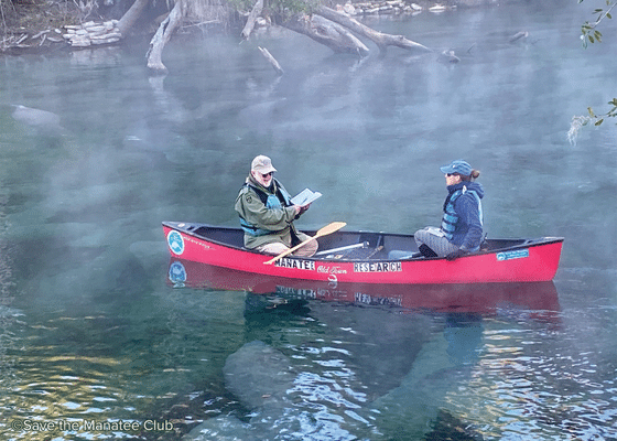 Counting Tails at Dawn