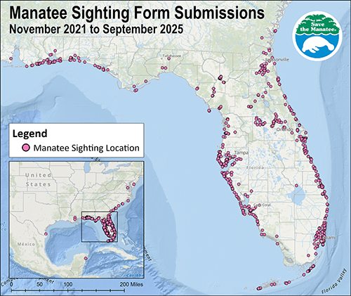 Why Your Manatee Sighting Submissions Matter!