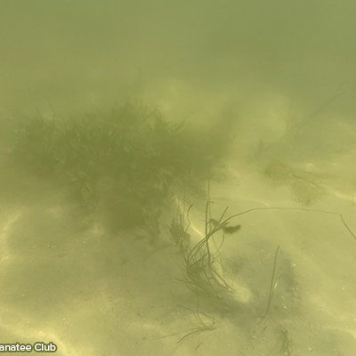 IMG 0887