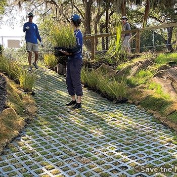 Volunteers plant native plants around the new ramp to stabilize it and prevent erosion.