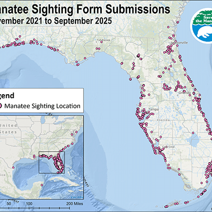 ManateeSightings2021to2025forManateeZone