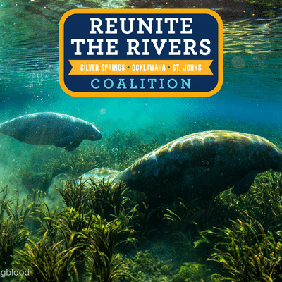 Reunite The Rivers