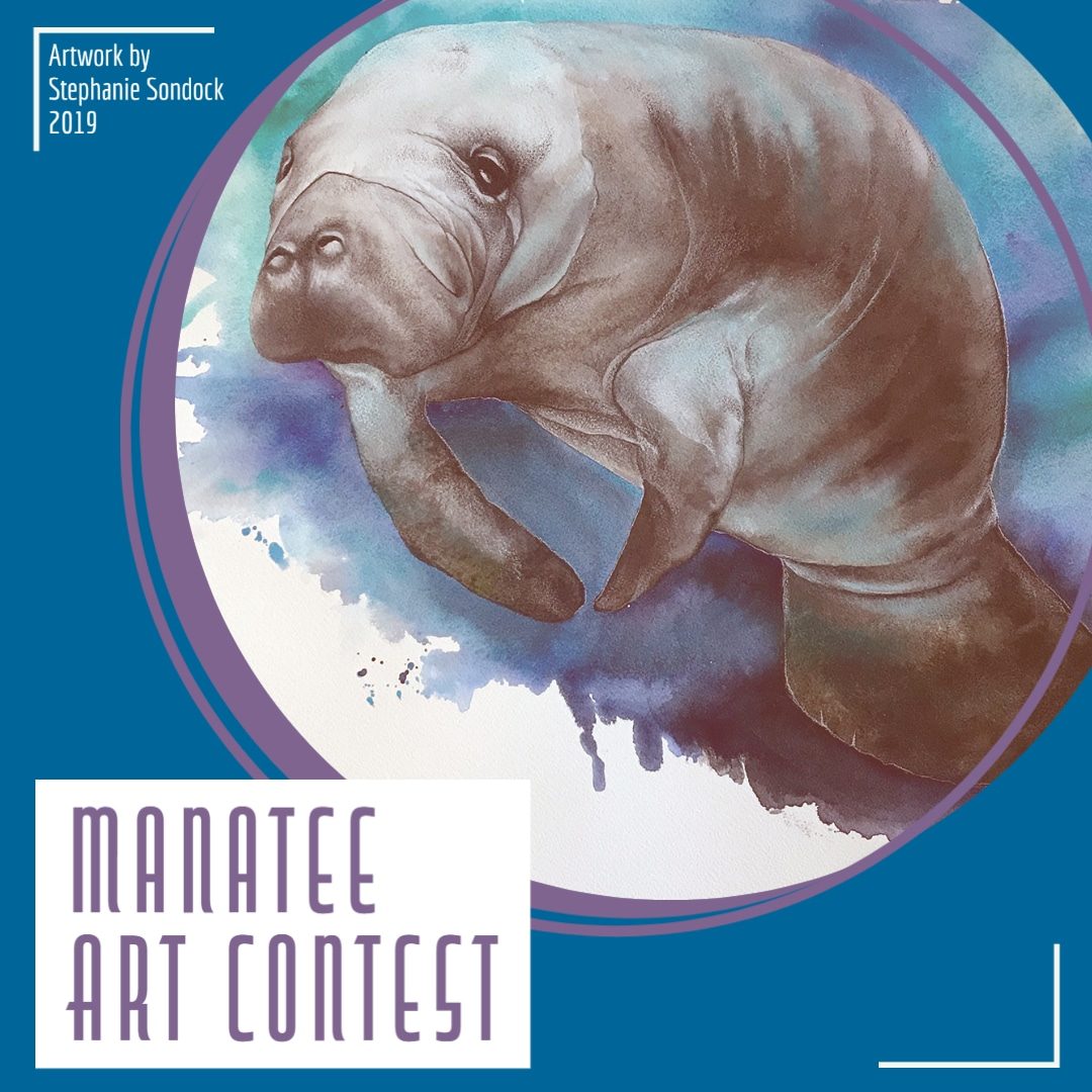 Manatee Art Contest