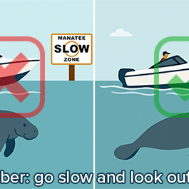 Manatee Zone Signs