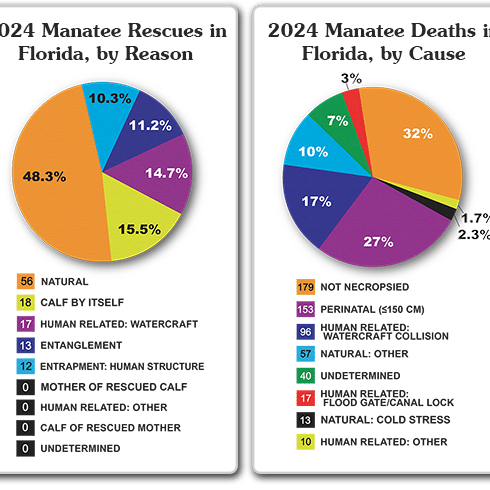 Mortality Chart24
